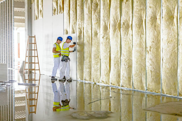 Best Commercial Insulation in Safety Harbor, FL